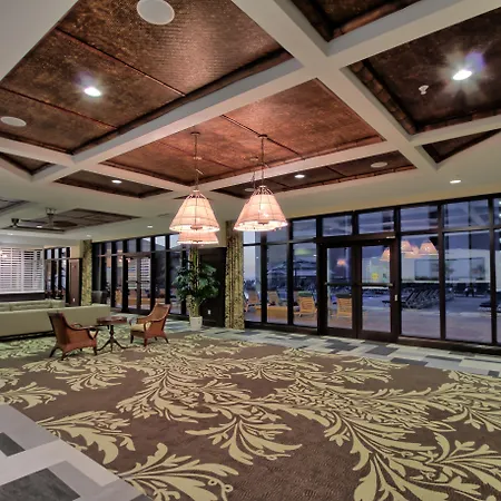 Edge Hotel Clearwater Beach-3